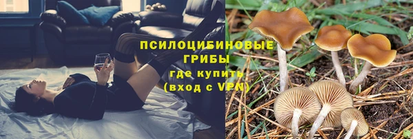 прущая мука Бронницы